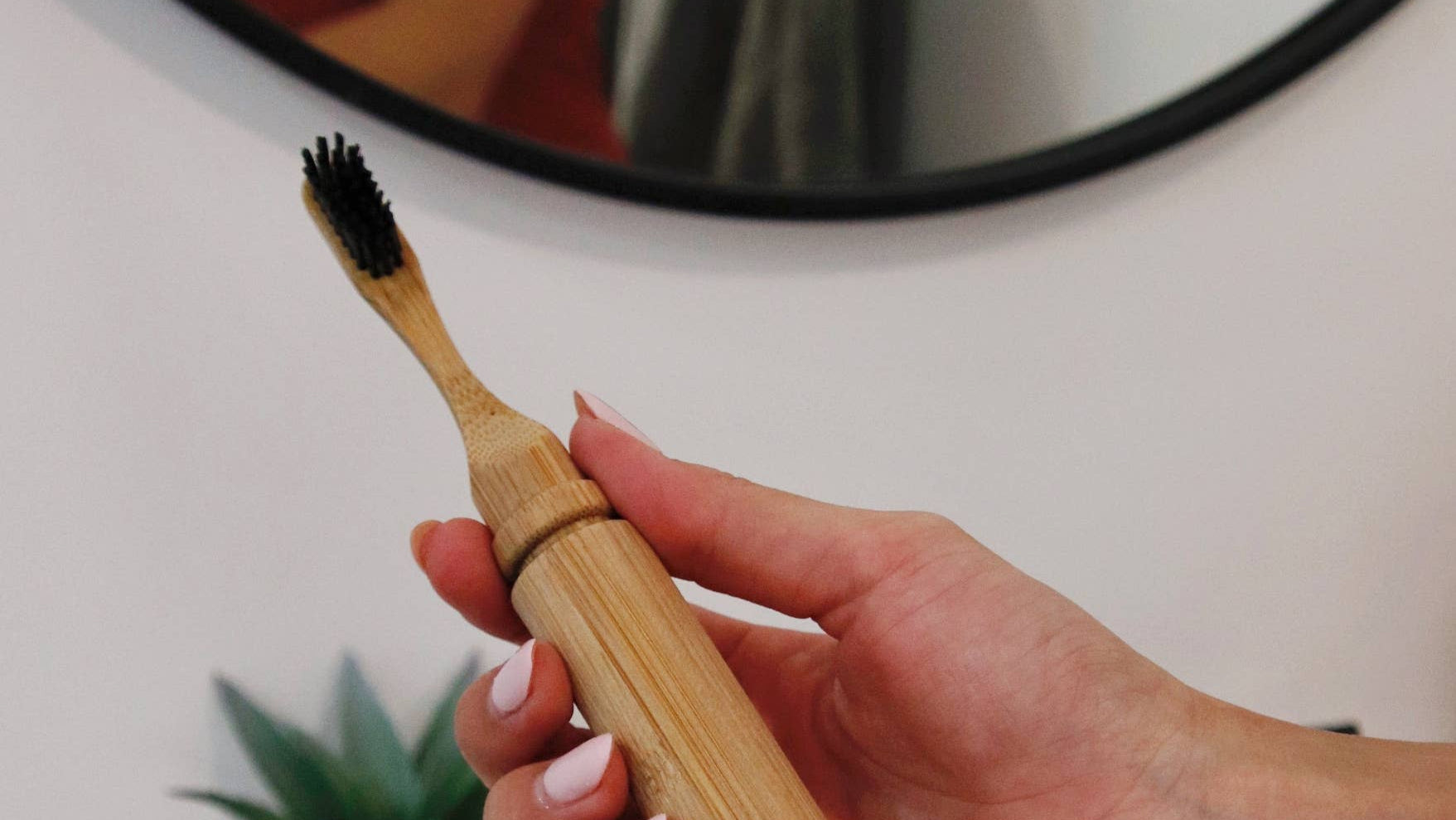 Bamboo Travel Toothbrush with Replaceable Head